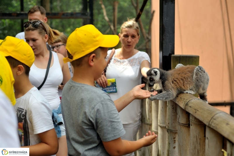 Zoosuli az Állatparkban
