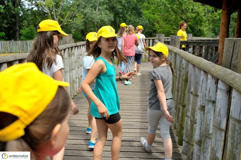 Zoosuli az Állatparkban