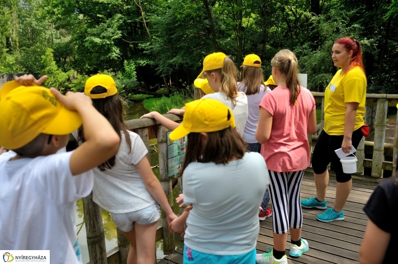 Zoosuli az Állatparkban