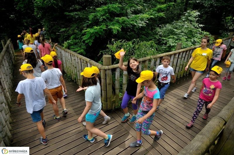 Zoosuli az Állatparkban