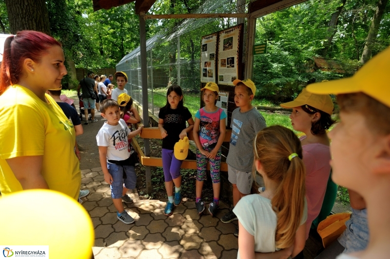 Zoosuli az Állatparkban