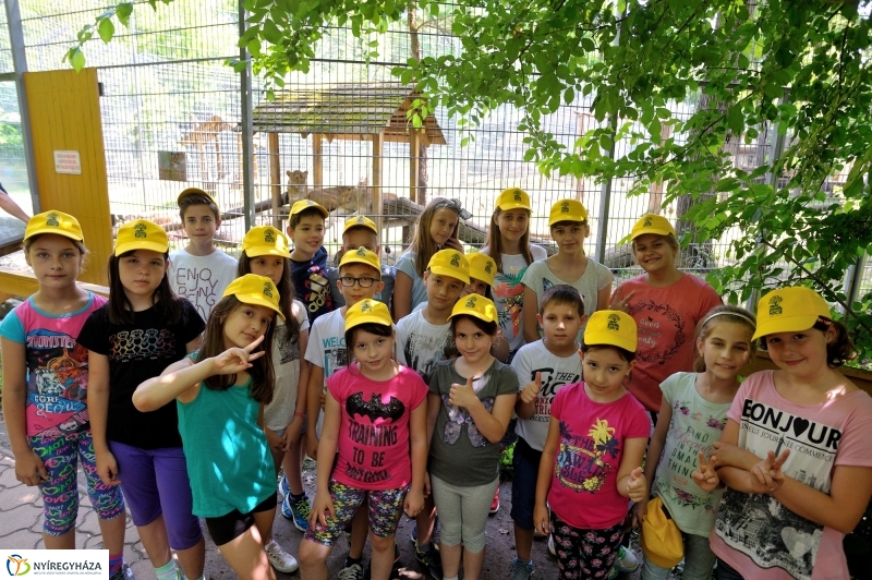 Zoosuli az Állatparkban