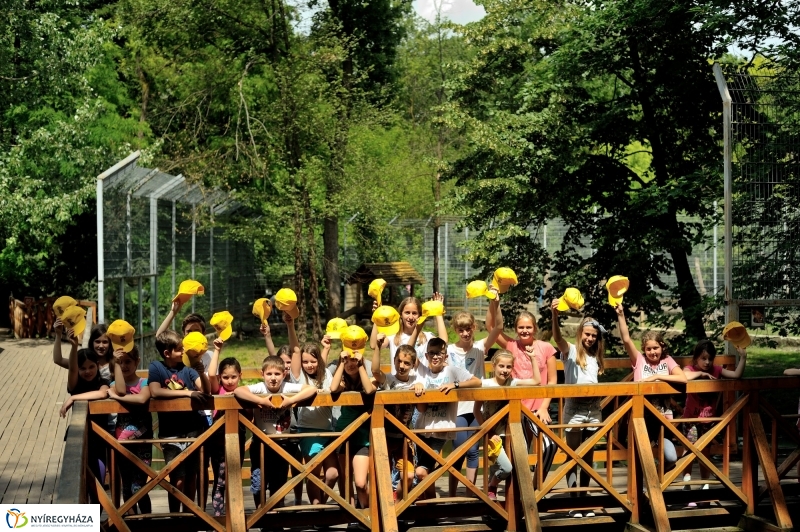 Zoosuli az Állatparkban