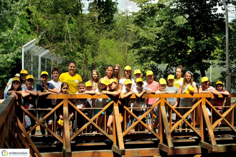 Zoosuli az Állatparkban