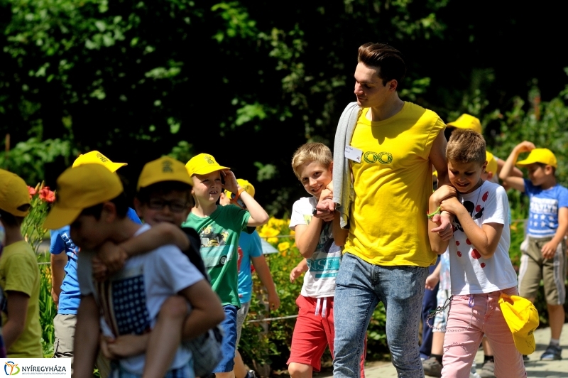 Zoosuli az Állatparkban