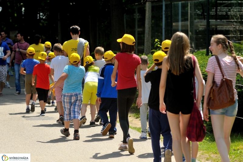 Zoosuli az Állatparkban