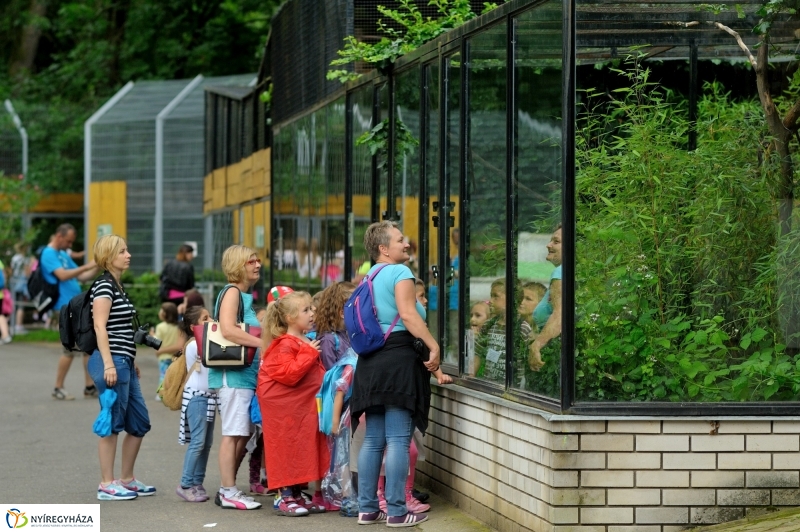 Egy hétköznap az Állatparkban