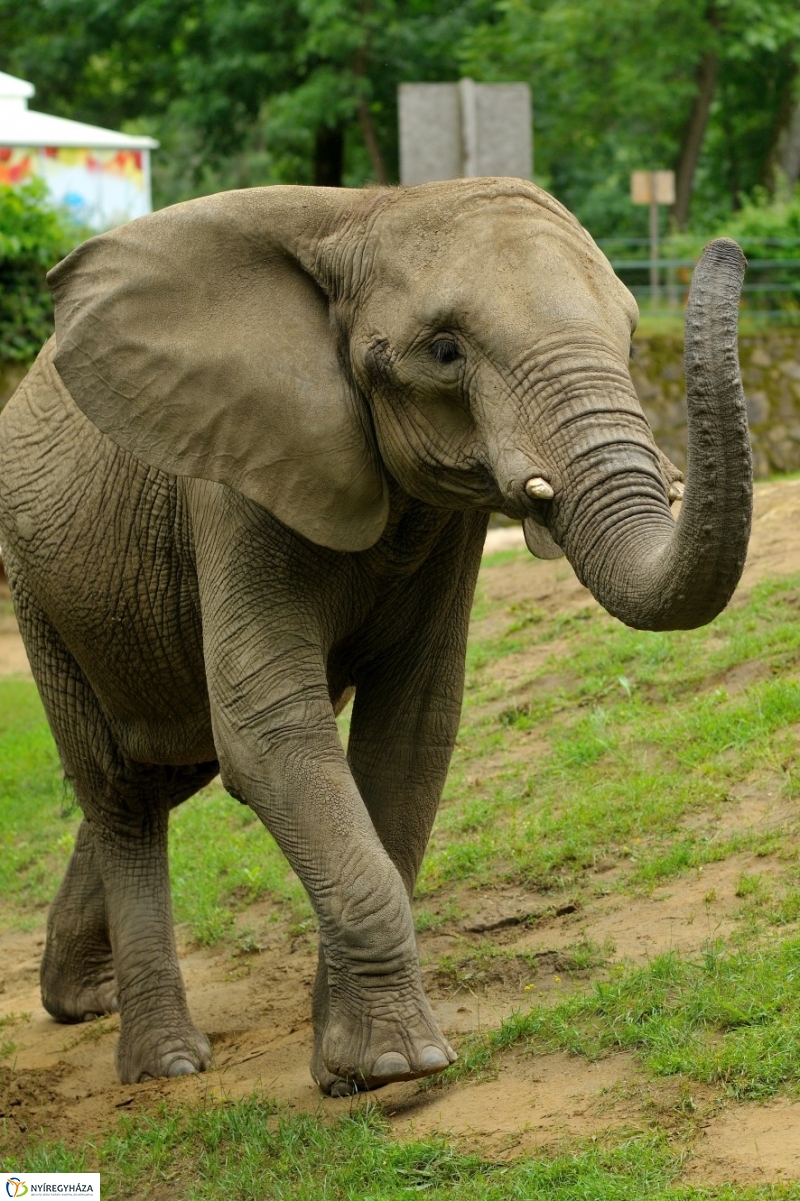 Egy hétköznap az Állatparkban
