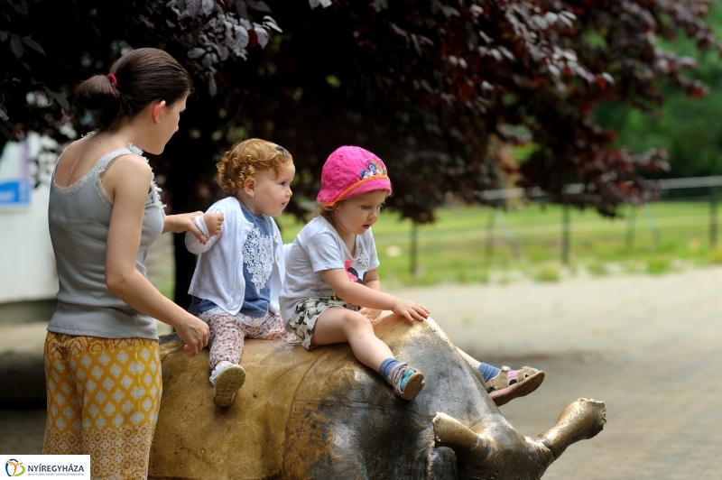 Egy hétköznap az Állatparkban