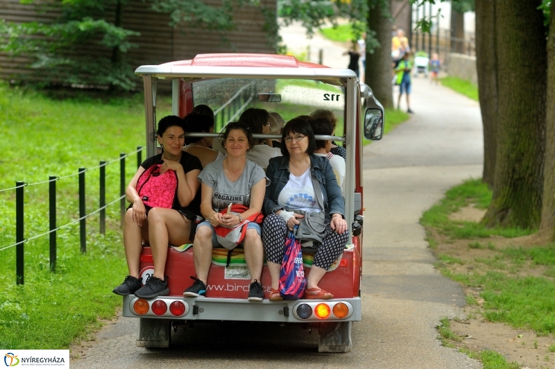 Egy hétköznap az Állatparkban