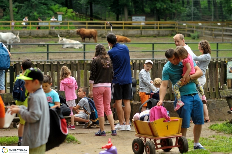 Egy hétköznap az Állatparkban