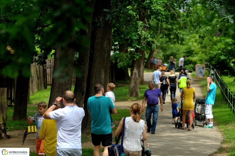 Egy hétköznap az Állatparkban