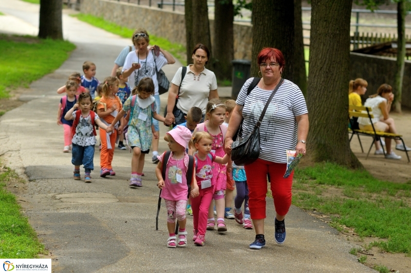 Egy hétköznap az Állatparkban