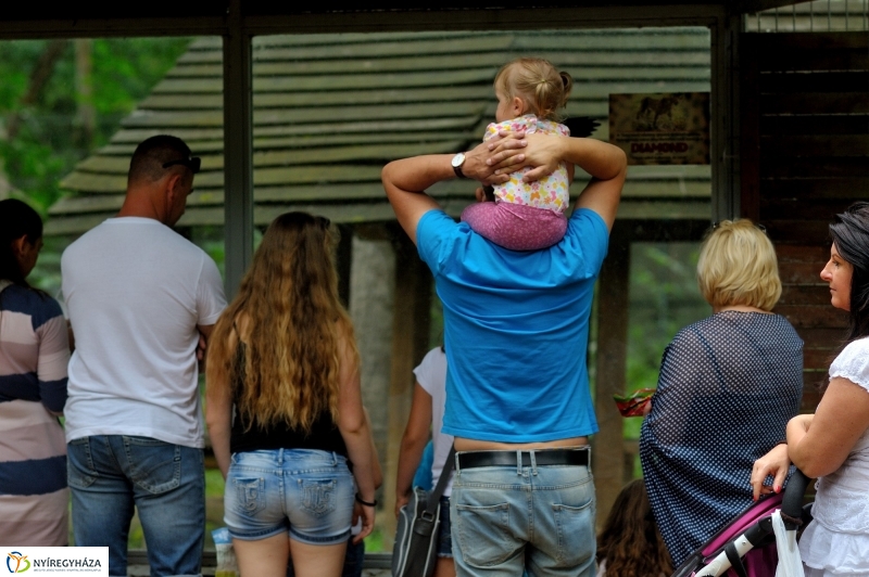 Egy hétköznap az Állatparkban