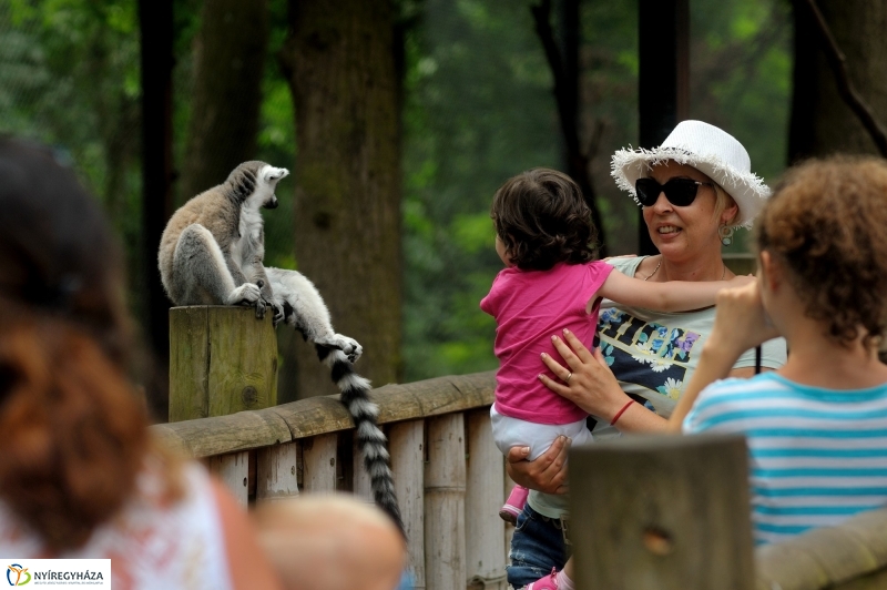 Egy hétköznap az Állatparkban