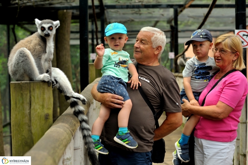 Egy hétköznap az Állatparkban