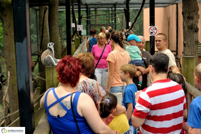 Egy hétköznap az Állatparkban