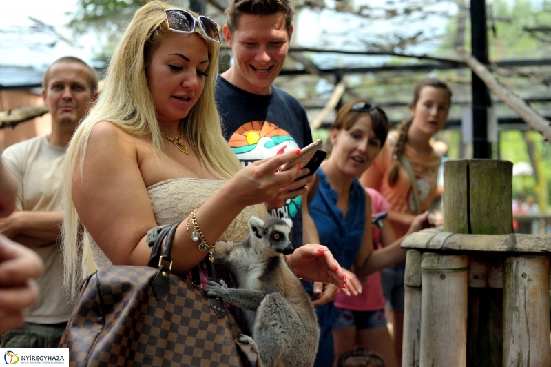 Egy hétköznap az Állatparkban