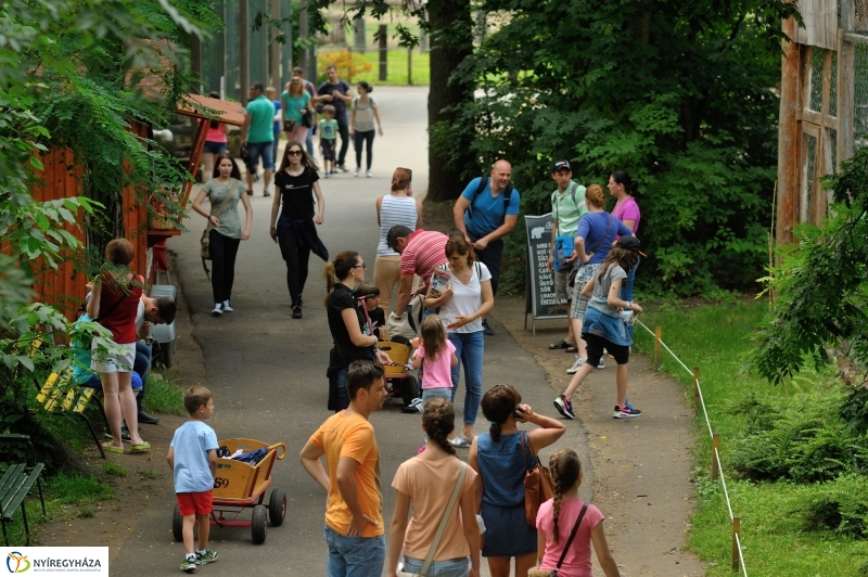 Egy hétköznap az Állatparkban