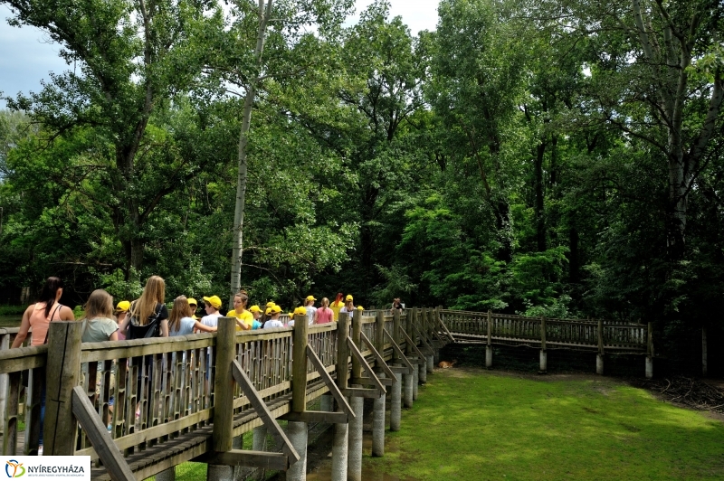 Egy hétköznap az Állatparkban
