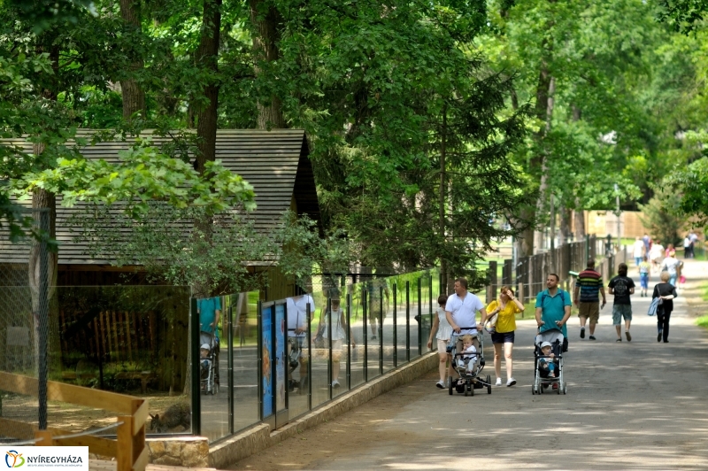 Egy hétköznap az Állatparkban