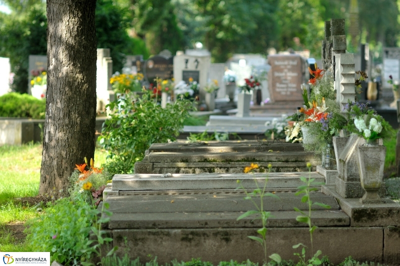 Járőrözés a temetőben