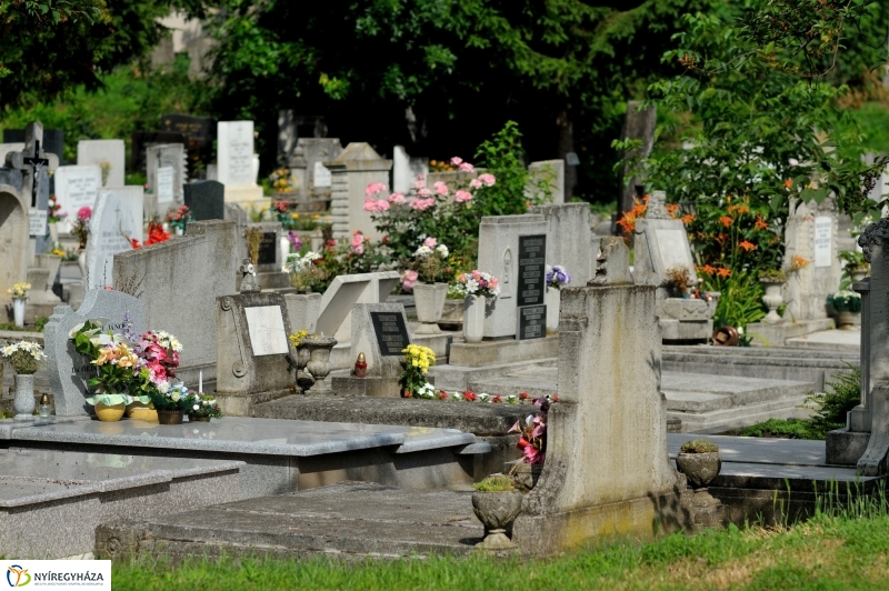 Járőrözés a temetőben