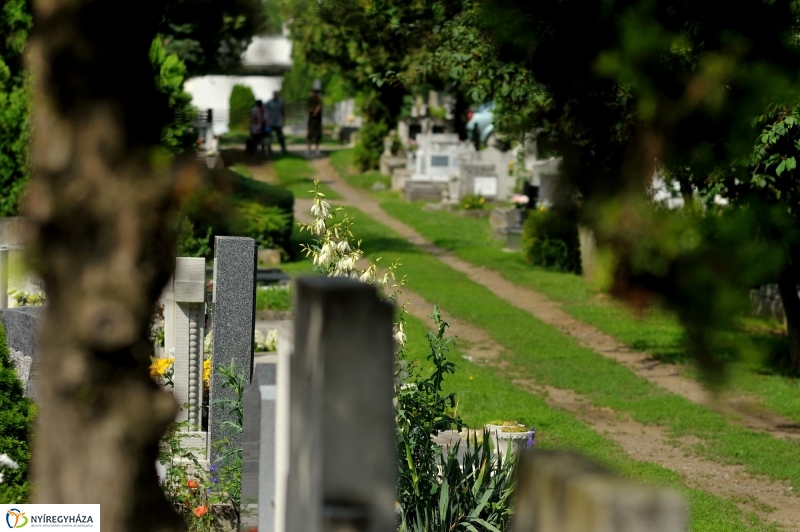 Járőrözés a temetőben