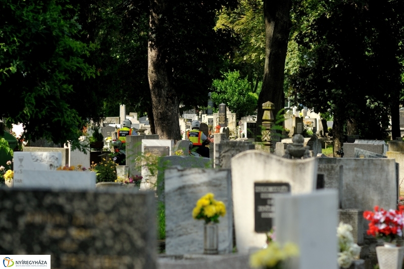 Járőrözés a temetőben