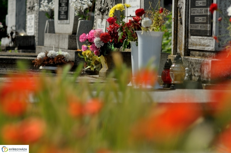 Járőrözés a temetőben