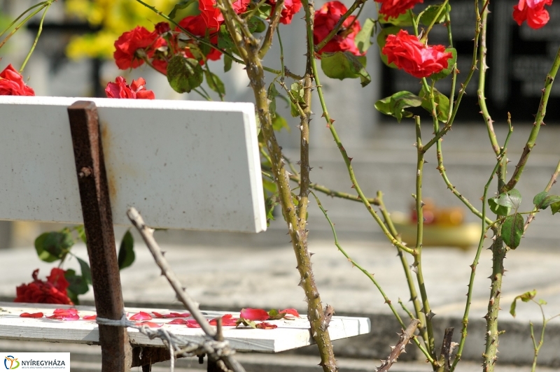 Járőrözés a temetőben