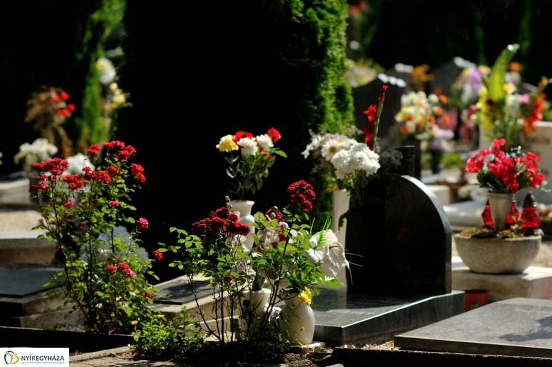 Járőrözés a temetőben