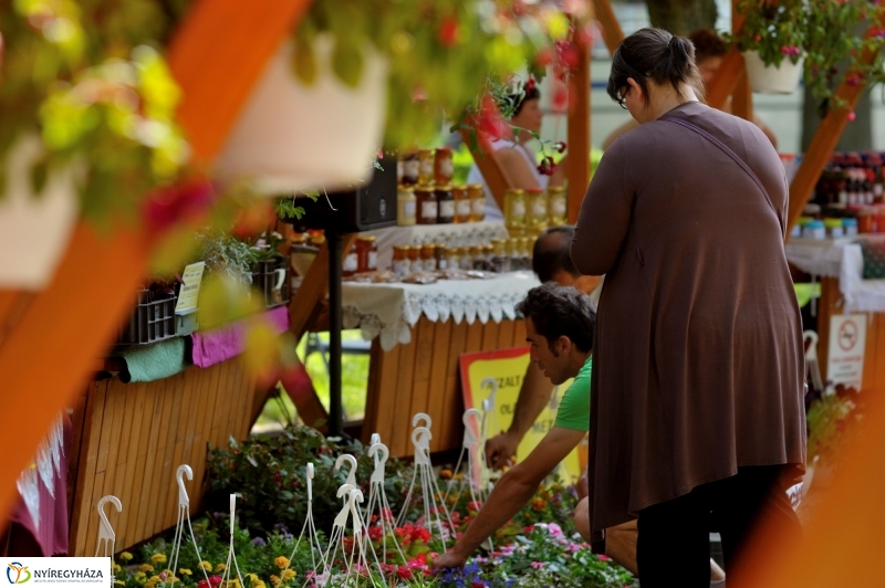 Megnyitották a Sóstói Piacot