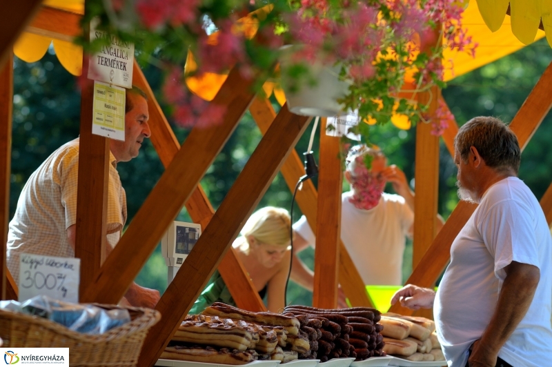 Megnyitották a Sóstói Piacot