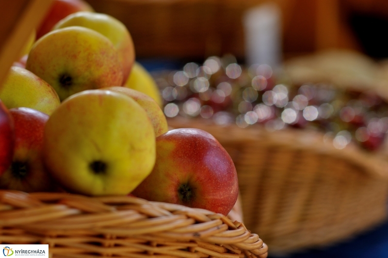 Megnyitották a Sóstói Piacot