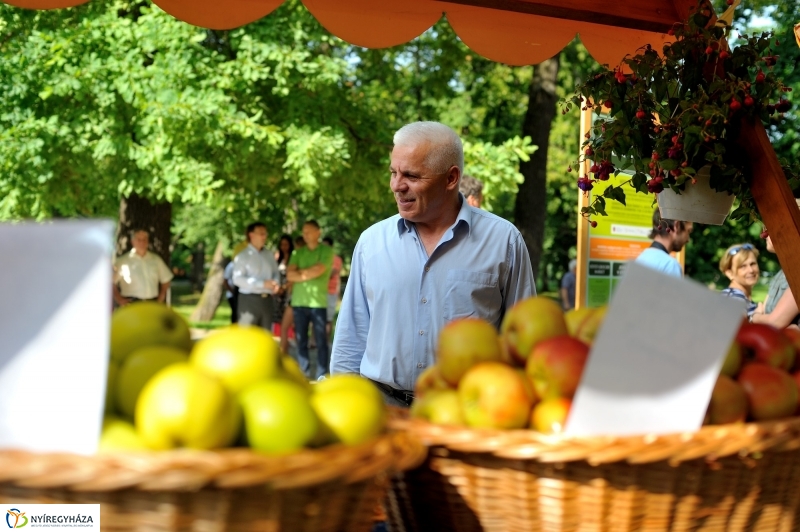 Megnyitották a Sóstói Piacot
