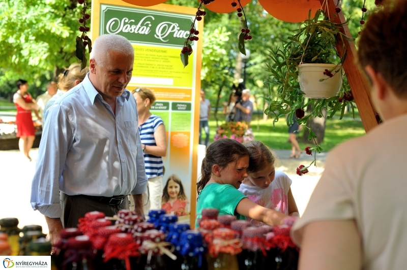 Megnyitották a Sóstói Piacot