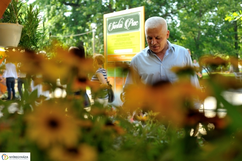 Megnyitották a Sóstói Piacot