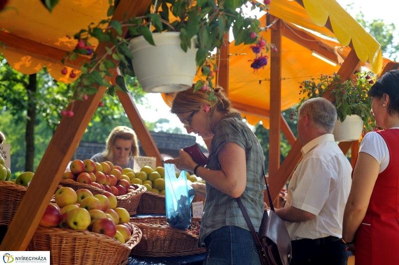 Megnyitották a Sóstói Piacot