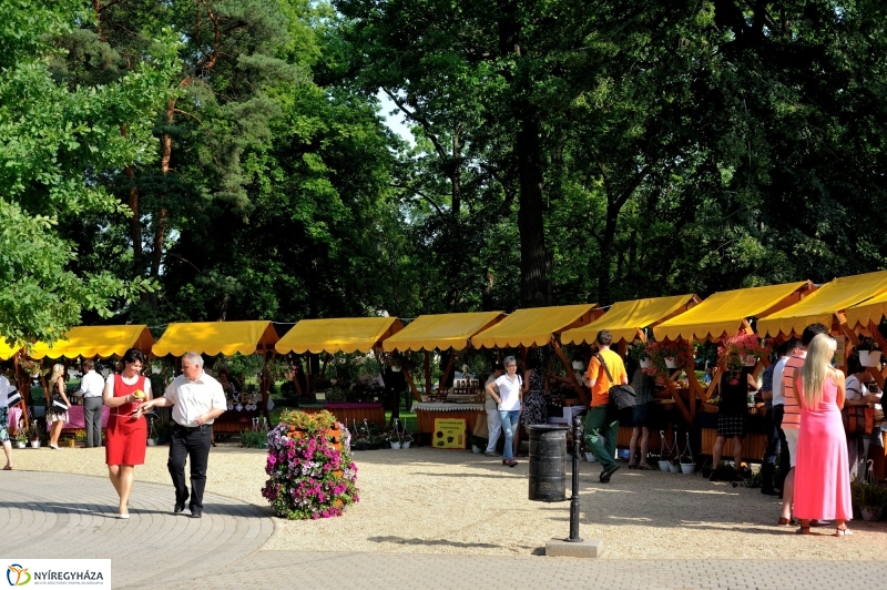 Megnyitották a Sóstói Piacot