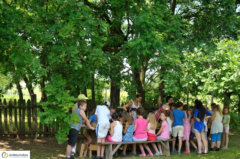 Napközis tábor a múzeumfaluban