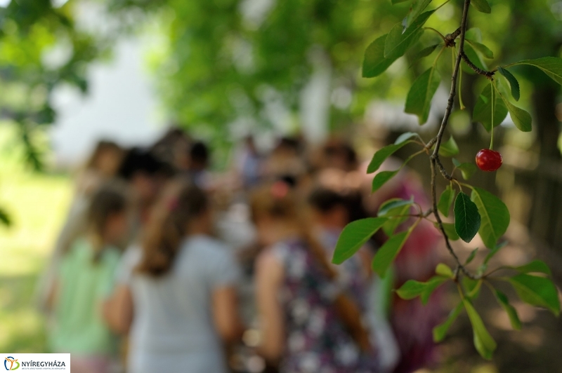 Napközis tábor a múzeumfaluban