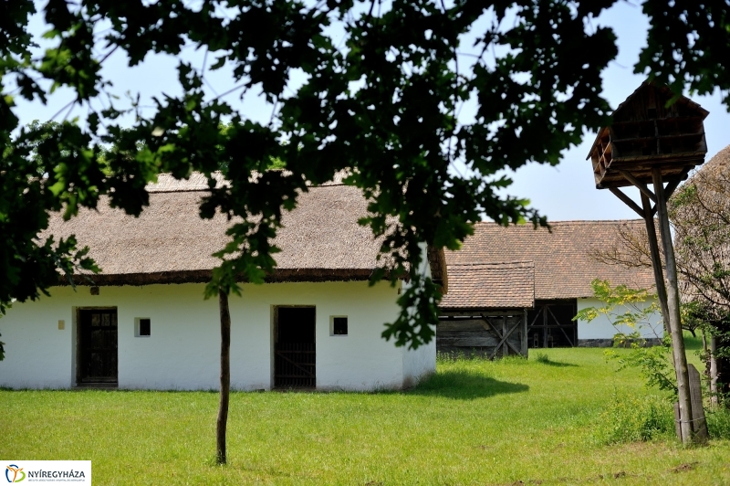 Napközis tábor a múzeumfaluban