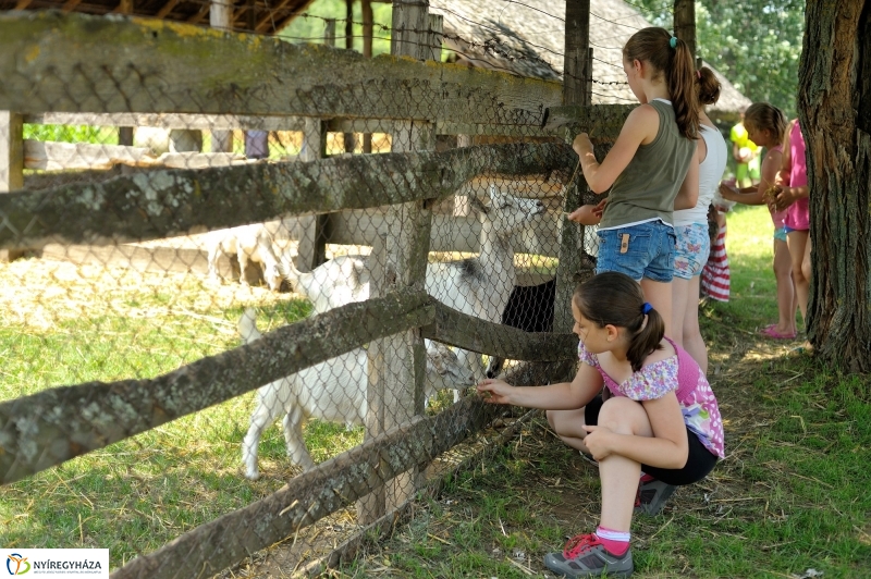 Napközis tábor a múzeumfaluban