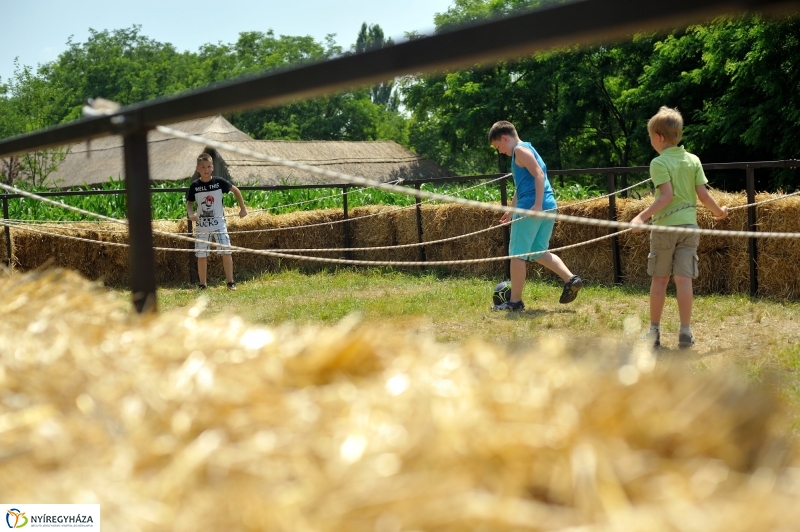 Napközis tábor a múzeumfaluban