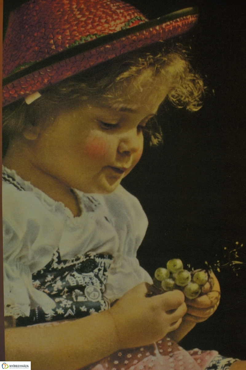 Múzeumok Éjszakája 2016  II