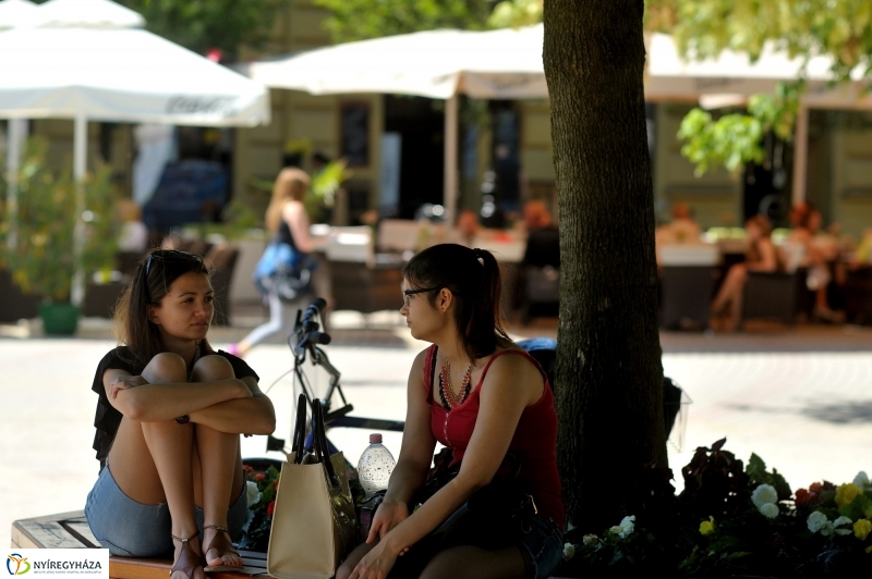 Nyár a belvárosban