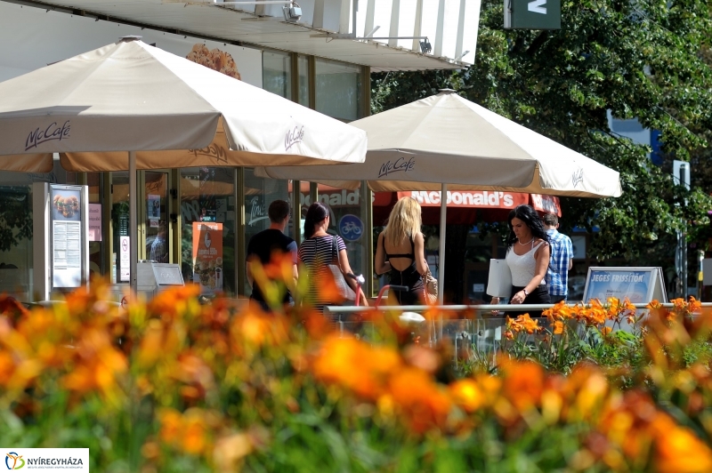 Nyár a belvárosban