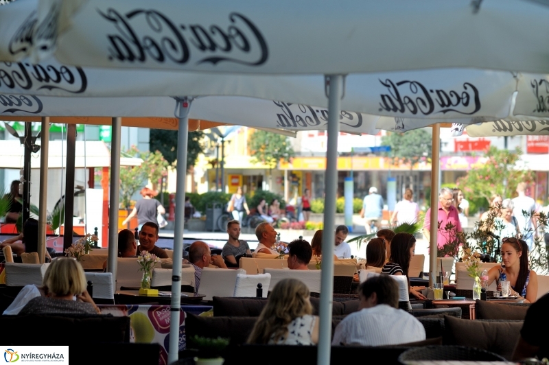 Nyár a belvárosban