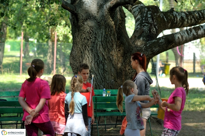 Kis Vakond táborozás